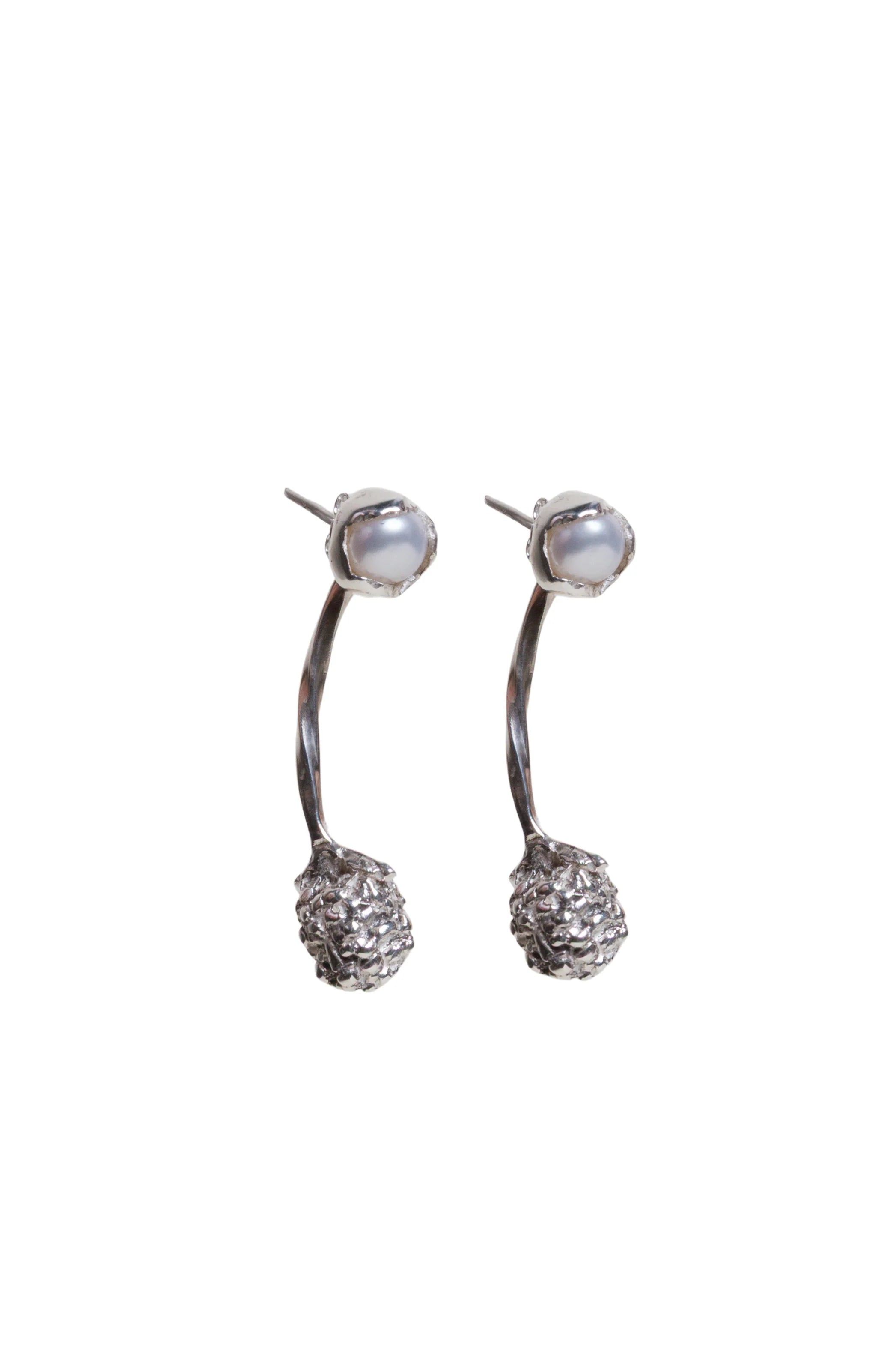 ARETES ZARZAMORA