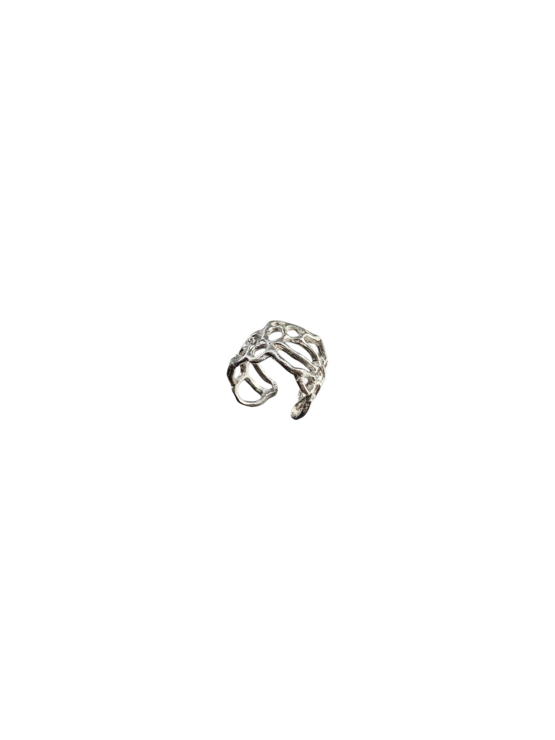ANILLO ORGANICO