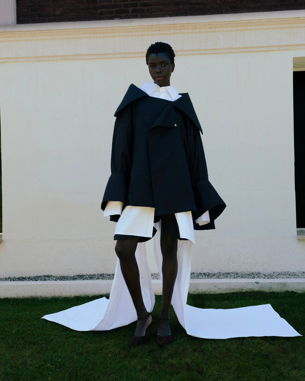 SAGO NEGRO - detalle