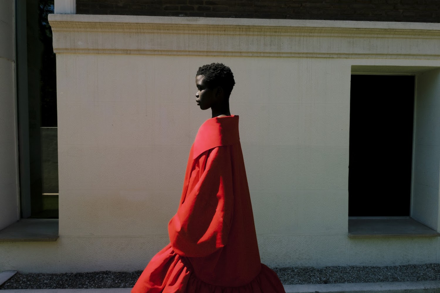 SAGO ROJO - detalle 2