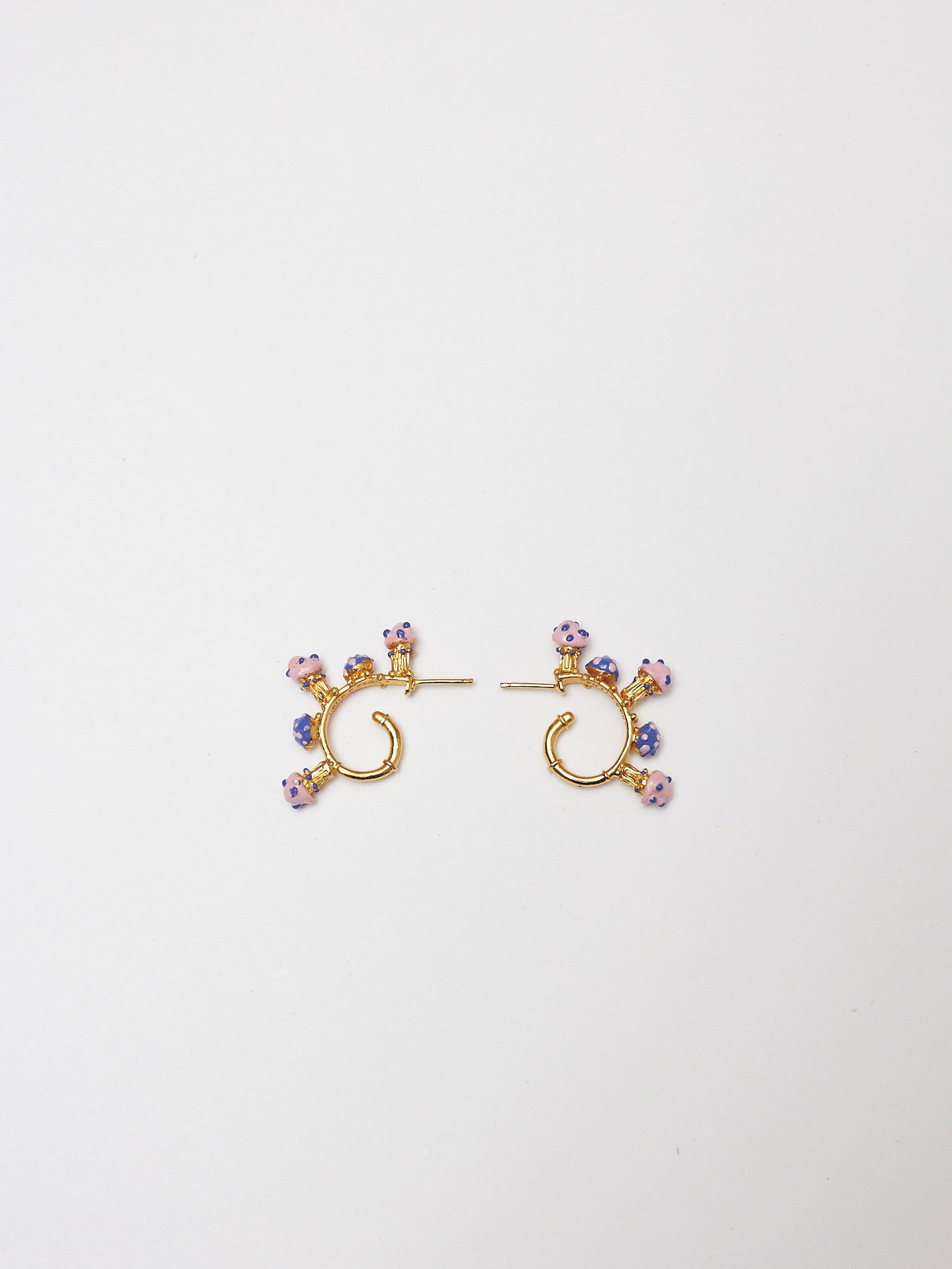 CANDONGAS JARDÍN SETA