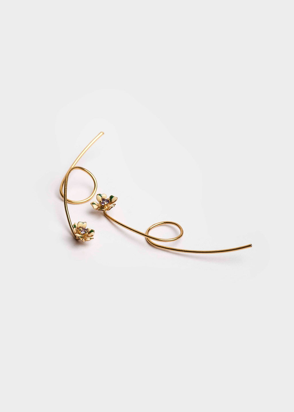 ARETES BROMELIA MICRO