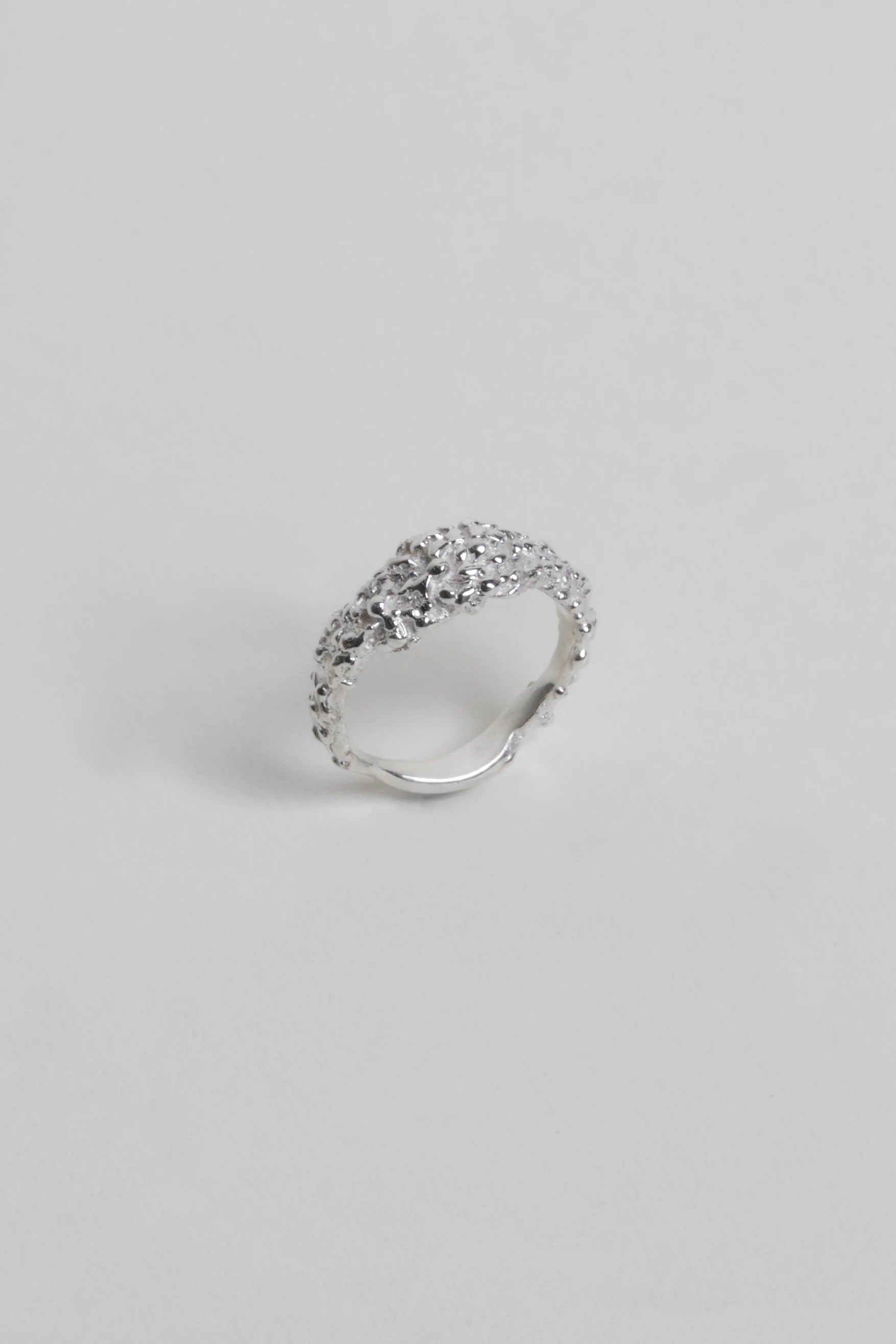 ANILLO ZARZAMORA