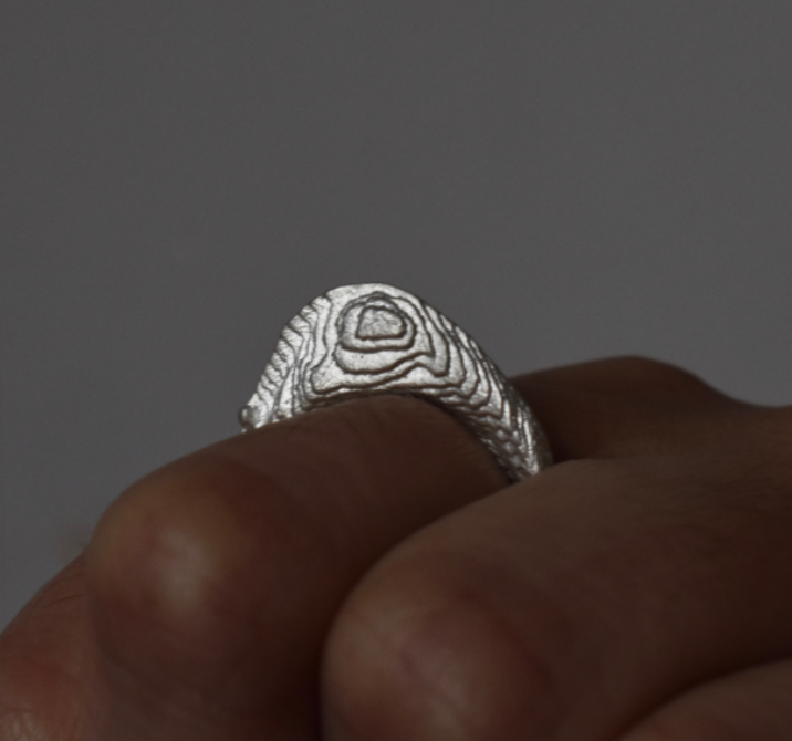 ANILLO TOPOGRÁFICO