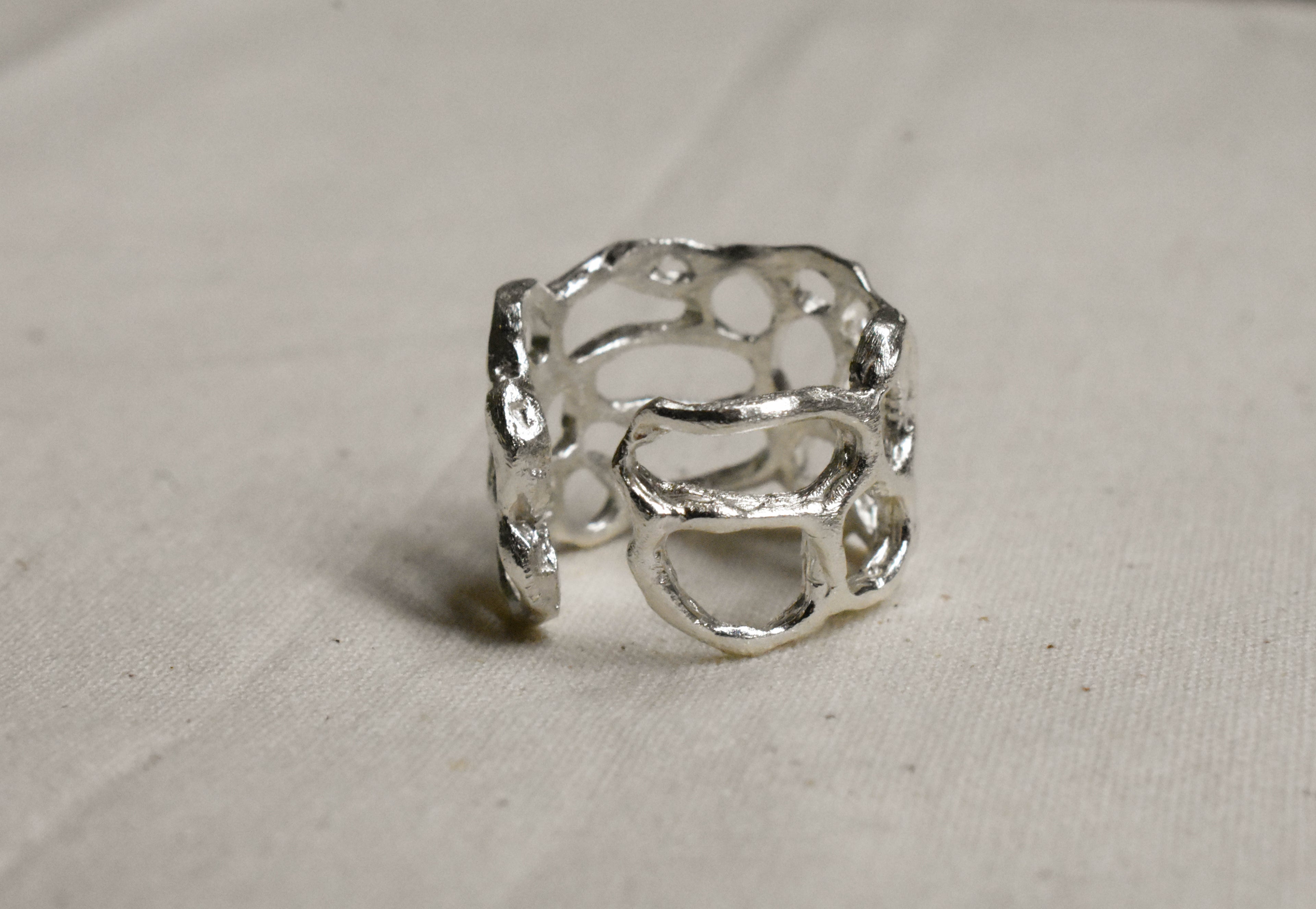 ANILLO ORGANICO