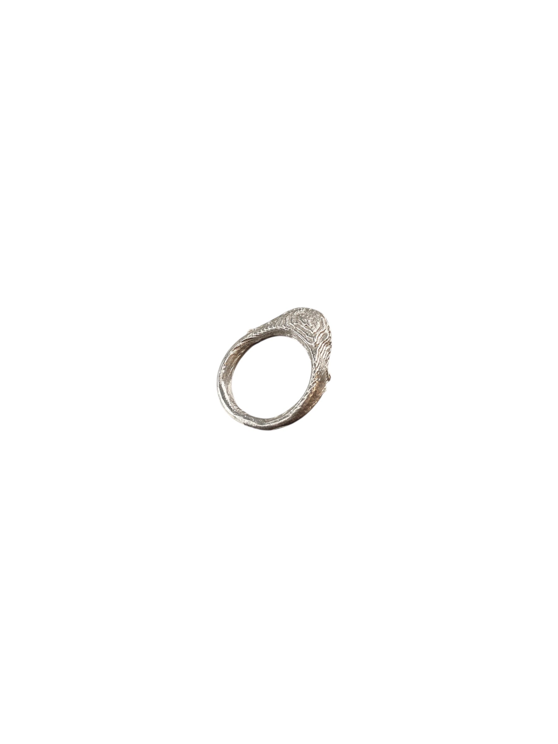 ANILLO TOPOGRÁFICO