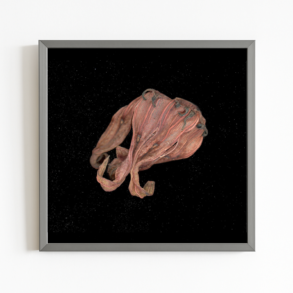 SEMILLA FLOR DE JAMAICA